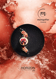 Catalogue Porcelaine Montgolfier Horizon 2025 chez Cash-Hôtel